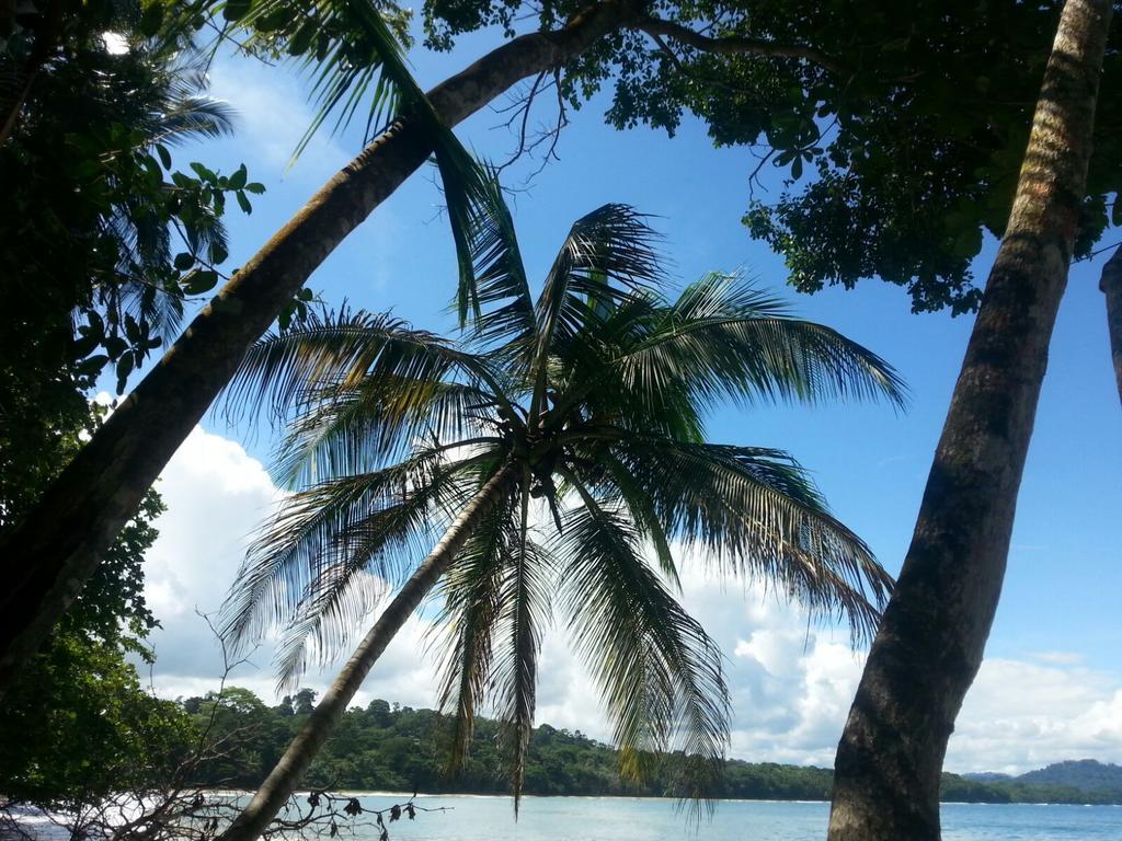 Mar Verde Lodge Puerto Viejo de Talamanca Екстериор снимка