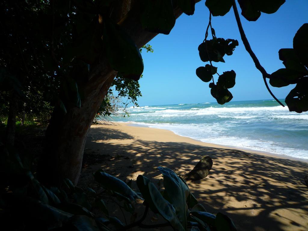 Mar Verde Lodge Puerto Viejo de Talamanca Екстериор снимка