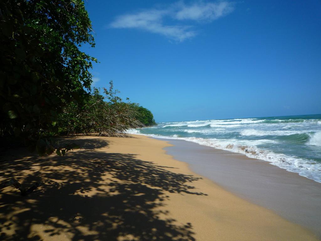 Mar Verde Lodge Puerto Viejo de Talamanca Екстериор снимка