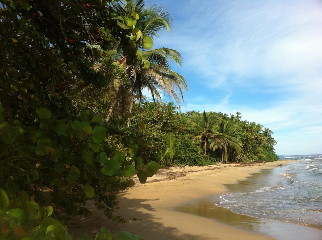 Mar Verde Lodge Puerto Viejo de Talamanca Екстериор снимка