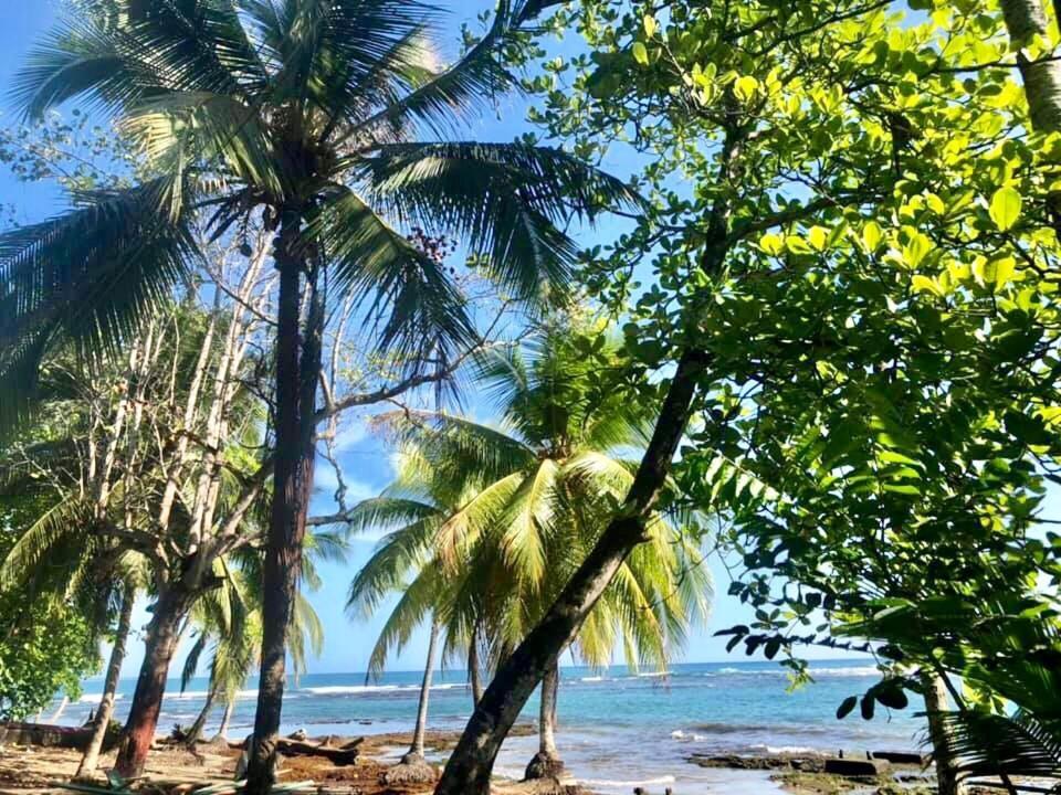 Mar Verde Lodge Puerto Viejo de Talamanca Екстериор снимка